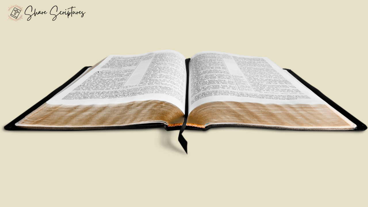 bible-summary-hub